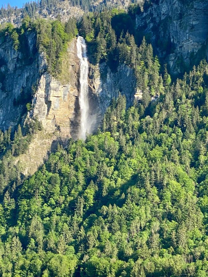 Appartement Aareschlucht- Grandiose Aussicht Fuer 2-6 Pers. Meiringen Eksteriør bilde
