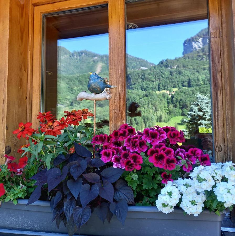 Appartement Aareschlucht- Grandiose Aussicht Fuer 2-6 Pers. Meiringen Eksteriør bilde